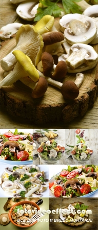 Stock Photo: Mushroom salad