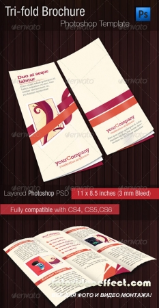 Tri-Fold Brochure PSD Template