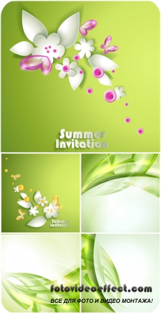        / Summer vector background with flowers and abstraction