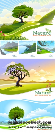 Stock: Sunset at Countryside with Graphic Wave Background