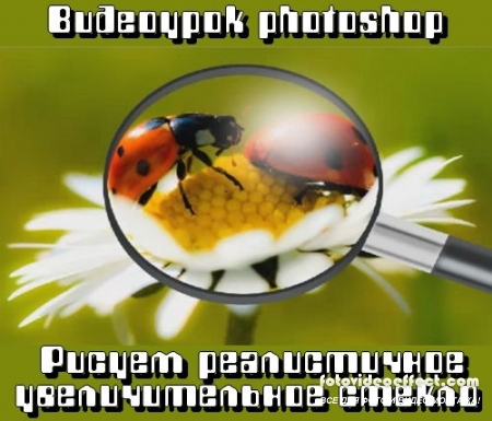  photoshop  -    