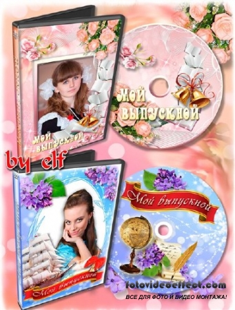  2   DVD  