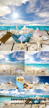 Stock Photo: Maritime Background with seashells and starfish